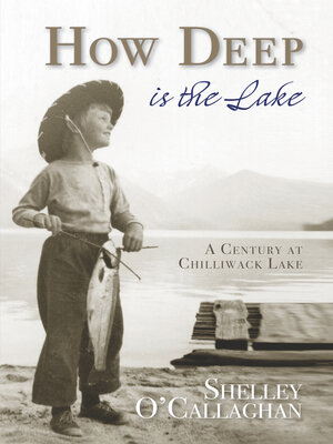 cover image of How Deep Is the Lake